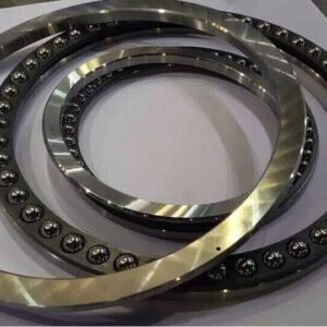 Excavator bearing